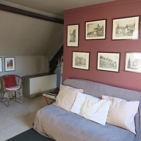 B&B / Studio De Druivelaar In Hartje Kluisbergen Esterno foto
