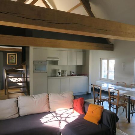 B&B / Studio De Druivelaar In Hartje Kluisbergen Esterno foto