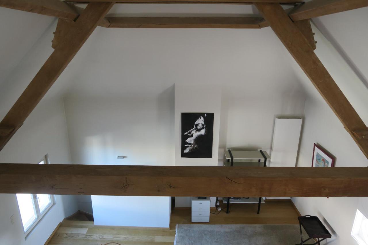 B&B / Studio De Druivelaar In Hartje Kluisbergen Esterno foto